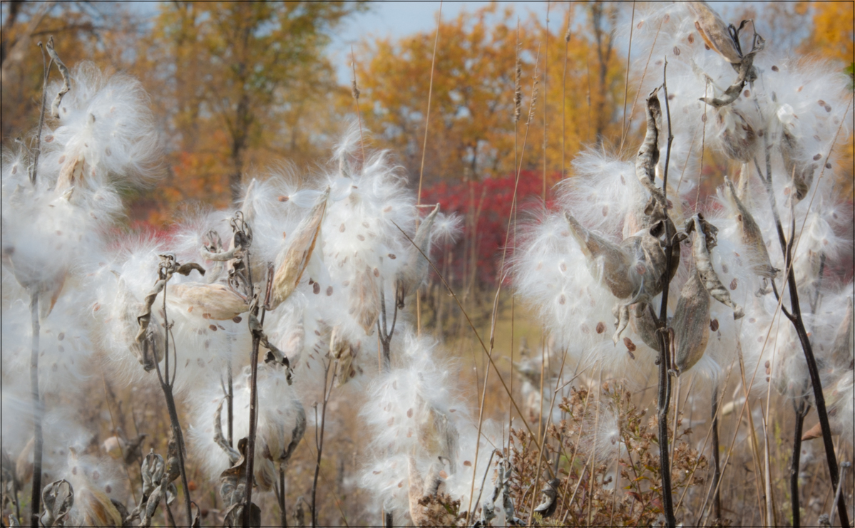 8_Cat2_Boise-Aylmer-Nord