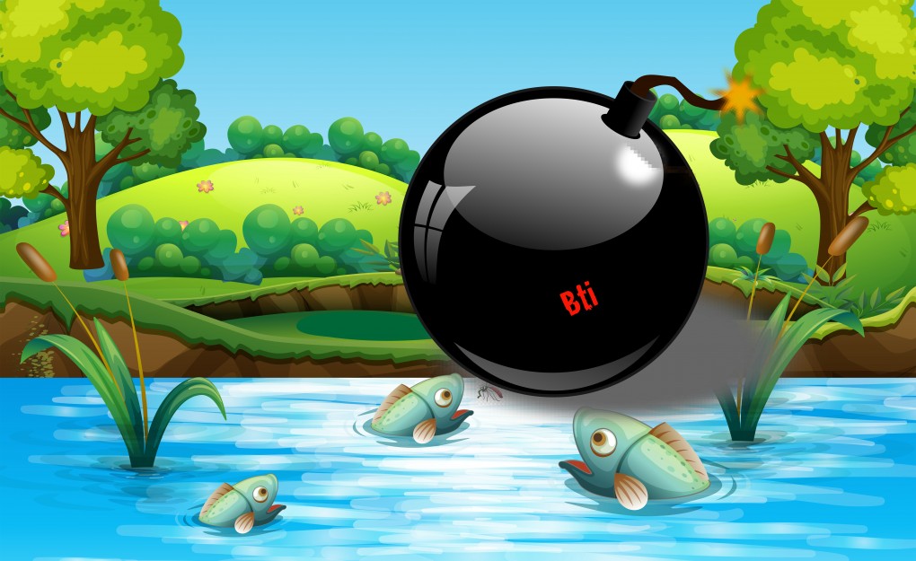 Le Bti dans nos milieux humides, c’est se servir d’une bombe pour détruire une mouche. (Source Freepik).